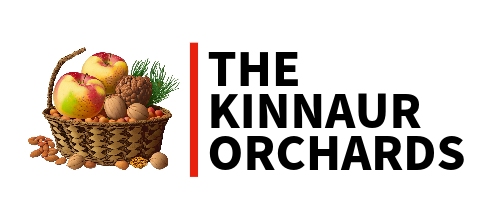 The Kinnaur Orchards